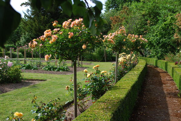 jardin de clivoy3