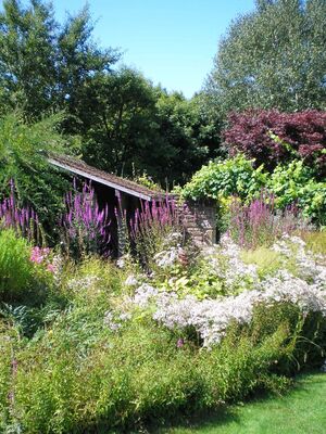 jardins-des-renaudies-colombiers-du-plessis-53-pcu-44