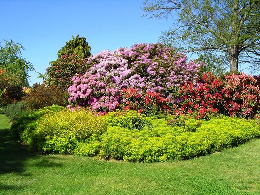 jardins-des-renaudies-colombiers-du-plessis-53-pcu-39
