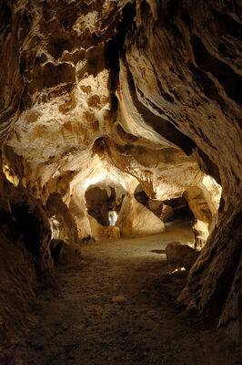 margot salle des troglodythes
