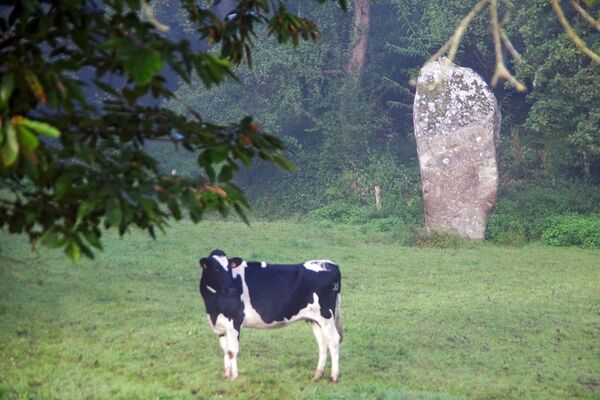 menhir-de-la-roche-gorron-53-pcu-1 PG
