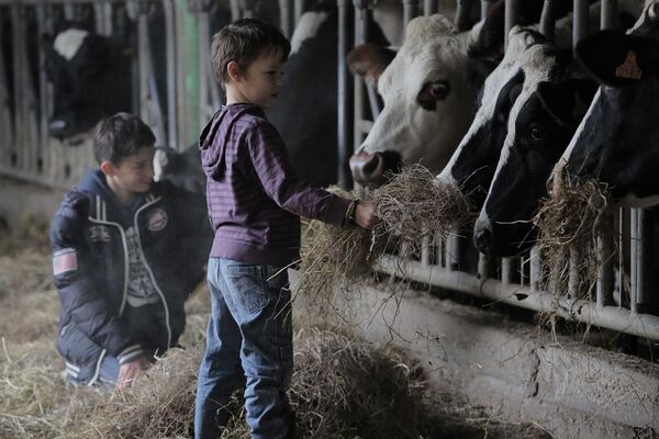 montenay_gite-longueve_tourisme-durable_2013_jc-druais_bd (23)