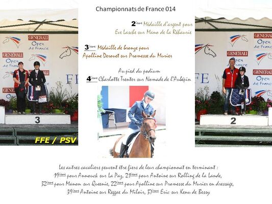 open de france 2014