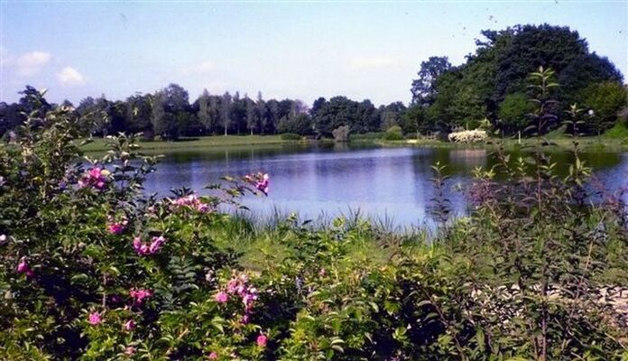 plan-d-eau-fougerolles-du-plessis-53-pcu-3