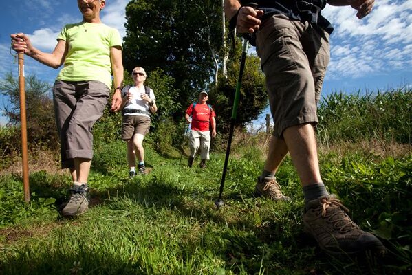 randonnee-pedestre-ambrieres-les-vallees-53-iti-3