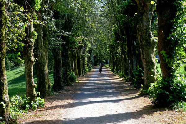 sentier-d-interpretation-arboretum-pontmain-53-iti-cp greboval (10)