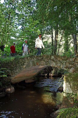 sentier-d-interpretation-arboretum-pontmain-53-iti-cp greboval (12)