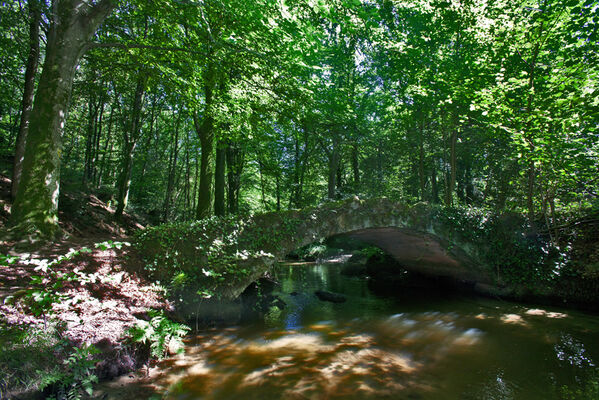 sentier-d-interpretation-arboretum-pontmain-53-iti-cp greboval (5)