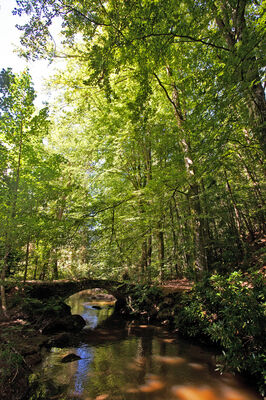 sentier-d-interpretation-arboretum-pontmain-53-iti-cp greboval (6)