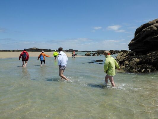 visites Chausey - Olivier Ribeyrolles