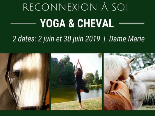yoga800Sans titre