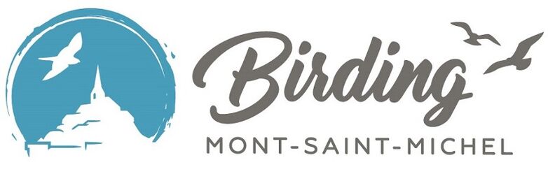 Birding Msm