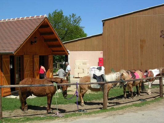 Haras de la Chéchinière