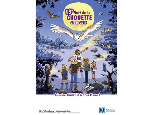 Nuit de la chouette