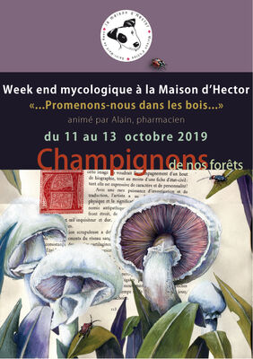 WE-Champignons-Maison d'HEctor-2019