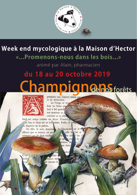 WE-Champignons-RECTO-2019-(2)