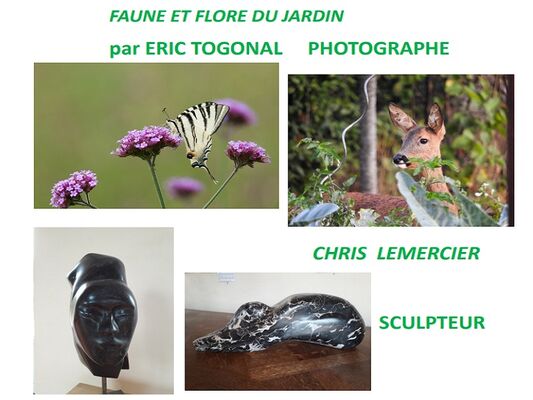 bois800Sans titre