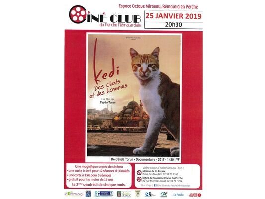 cineclubreportjanvier-remalard-800