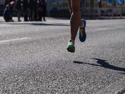 course800Sans titre