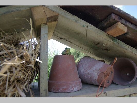 ecomusee_jardin3_800