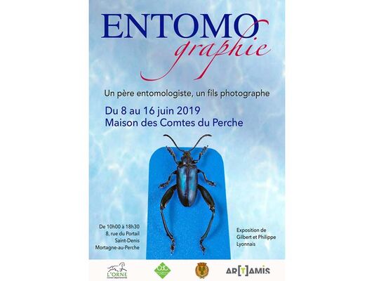 Entomographie - Mortagne au Perche