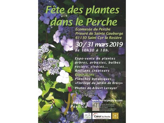 Fête des plantes dans le Perche - St Cyr la Rosière
