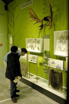 muséaltourouvre41 gd