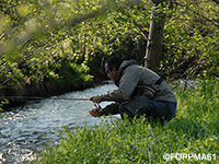 La Pêche dans l'Orne