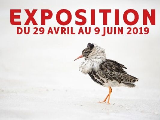 photo800Sans titre