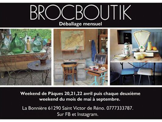 puces brocboutik800x600