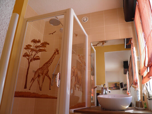 6.salle de douche voyageur