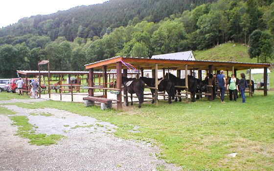 2016-ferme-moulian-argeles-gazost
