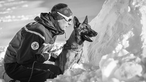2019_ Gendarmerie cynophile