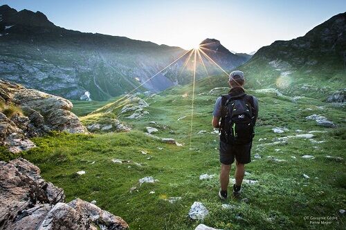 2020_Des Parcs et des hommes