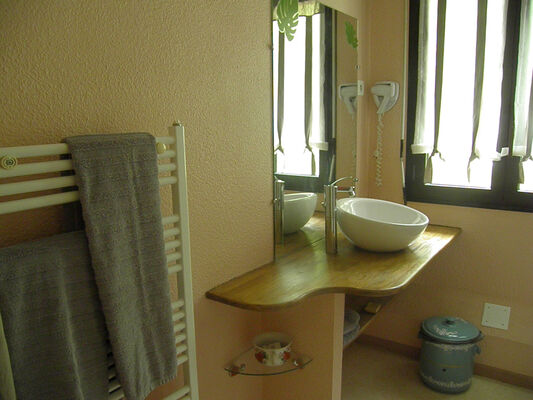 3.salle douche coueyla