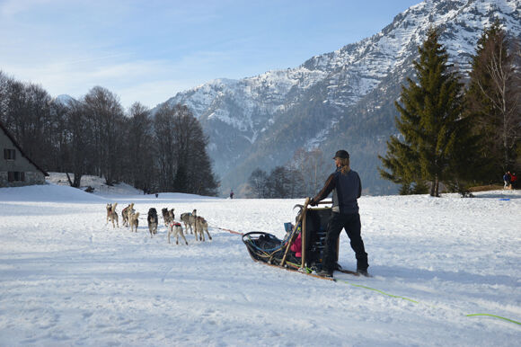 traineau-mushingpyrenees-bareges-HautesPyrenees-