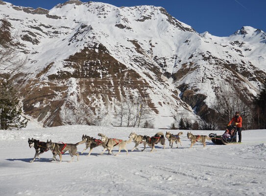 traineau4-mushingpyrenees-bareges-HautesPyrenees