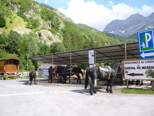 ChevalGavarnie01