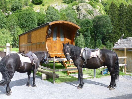 ChevalGavarnie02