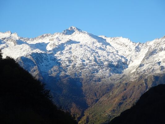 DSC01219 - Copie