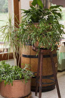 Hotel_Le_Taillon_7