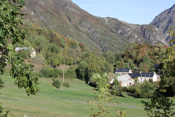 Munia 10