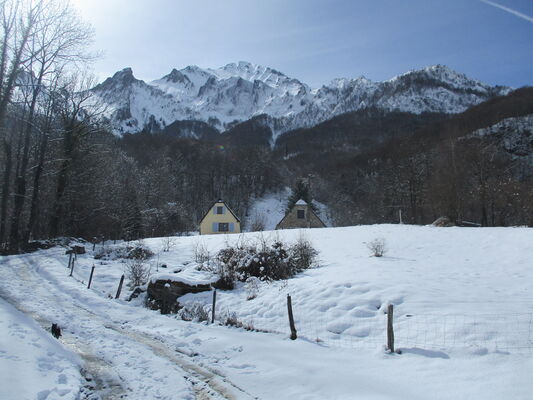 ORIGINALE-BOINOT (2)
