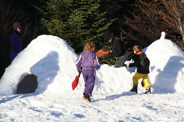 Photo Igloo Web