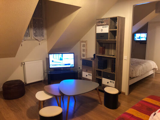 SIT-Collin-hautes-pyrenees (8)