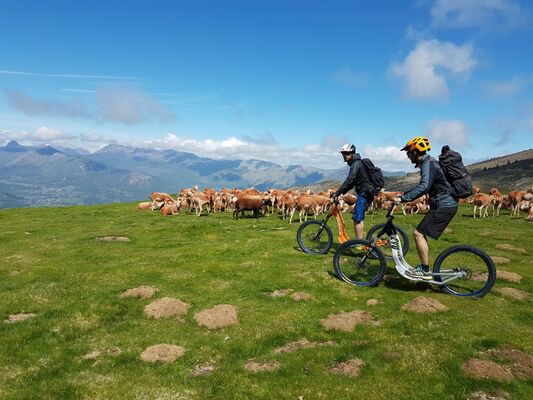 SIT-MontnRoll-HautesPyrenees (1)
