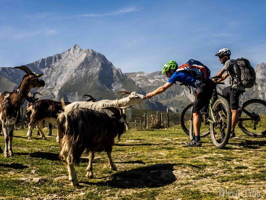 SIT-Montavelo-HautesPyrenees (2)