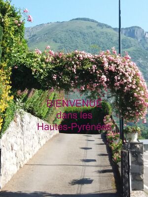 SIT-Marque-Appt-45-Hautes-Pyrenees (4)