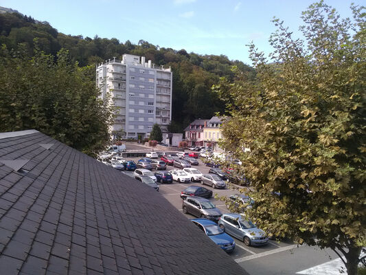 SIT-Martinez-Prune-hautes-pyrenees (25)