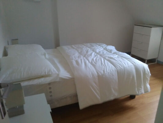 SIT-Martinez-Prune-hautes-pyrenees (27)